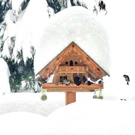 Gaestehaus Herma *
