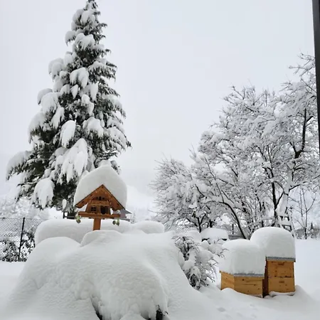 Apartman Gaestehaus Herma Ramsau am Dachstein