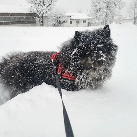 Appartamento Gaestehaus Herma