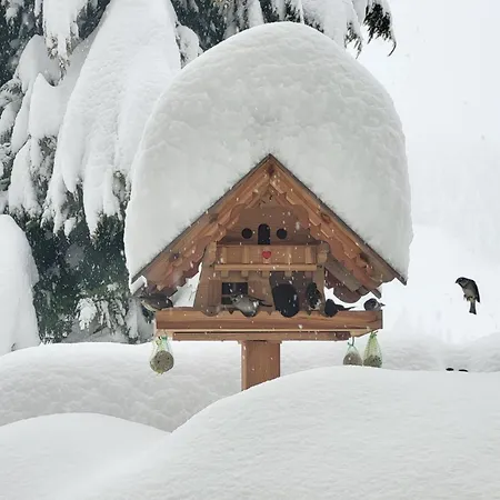 Gaestehaus Herma アパート