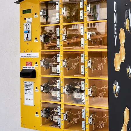 Gaestehaus Herma Appartamento Ramsau am Dachstein