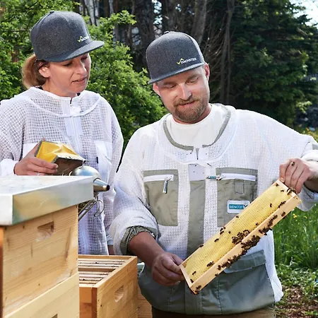 Gaestehaus Herma Appartamento Ramsau am Dachstein