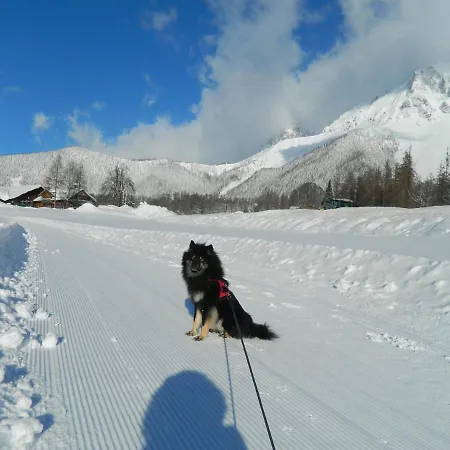 Appartamento Gaestehaus Herma *