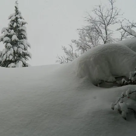 Appartamento Gaestehaus Herma *