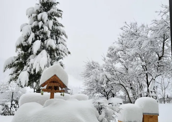 아파트 Gaestehaus Herma 람자우 암 다흐스타인