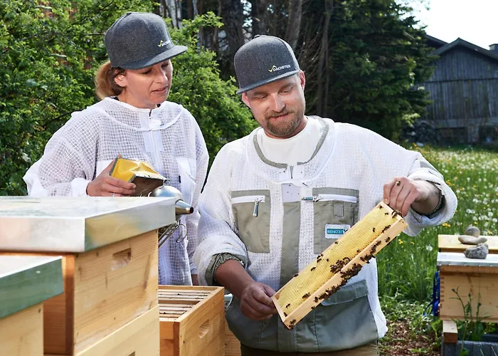 Gaestehaus Herma Apartment Ramsau am Dachstein