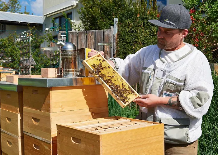 Gaestehaus Herma * Ramsau am Dachstein