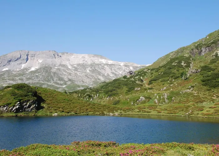 Gaestehaus Herma 아파트 *