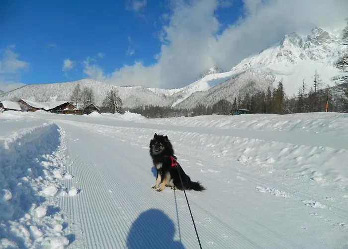 Apartment Gaestehaus Herma *