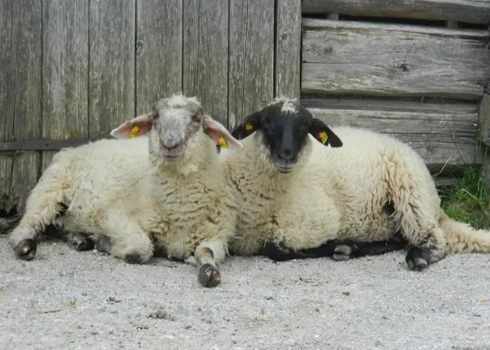 아파트 Gaestehaus Herma 람자우 암 다흐스타인