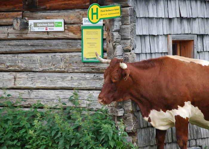 아파트 Gaestehaus Herma *