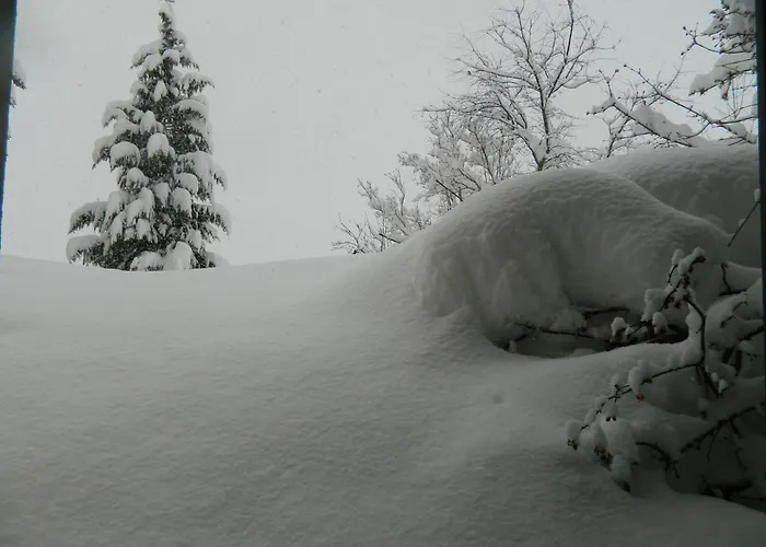 Apartment Gaestehaus Herma *